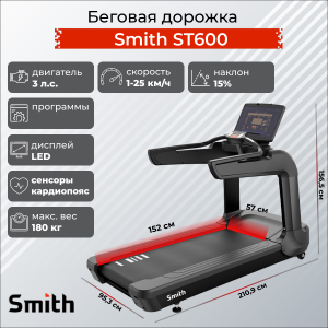 Профессиональная Беговая дорожка ST3.2 (ранее ST600)
